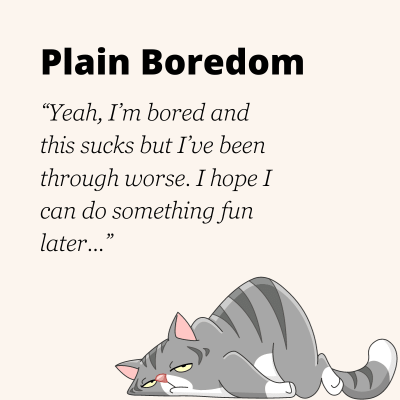 plain boredom: “Yeah, I’m bored and this sucks but I’ve been through worse. I can’t wait to go do something fun later...”