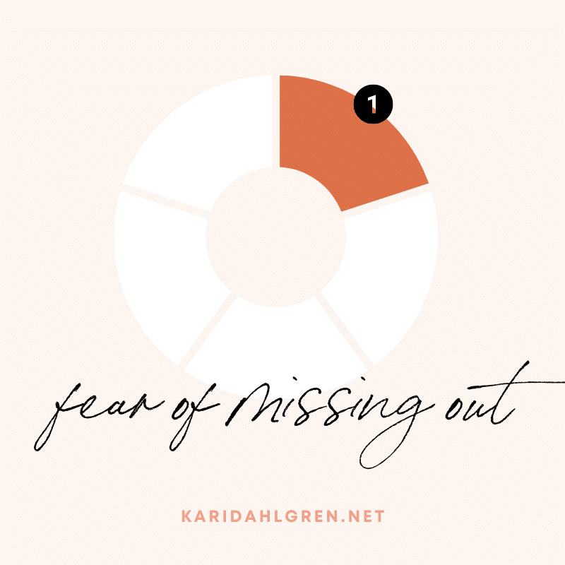 first pie chart segment: 1 - fear of missing out